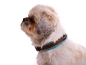 Preview: eRPaki PRO Hundehalsband Klick 15mm - Reflektor
