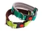 Preview: eRPaki PRO Hundehalsband Klick 25mm