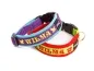 Preview: eRPaki PRO Namenshalsband Klick 15mm