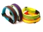 Preview: eRPaki PRO Hundehalsband Klick 30mm - Reflektor