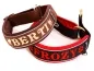 Preview: eRPaki PRO Namenshalsband Zugstop 30mm - Reflektor