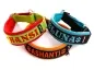 Preview: eRPaki PRO Namenshalsband Zugstop 30mm - Reflektor