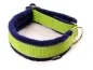 Preview: Sport Hundehalsbänder ohne Zugstopp und Verschluss in Farbe lindgrün dunkelblau