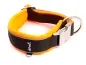 Preview: Hundehalsband Langhaar reflektierend schwarz gepolstert mit FLEECE orange mit Metallverschluss und kleinem Ring für Hundemarke