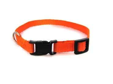 eRPaki BASIC Hundehalsband Klick 10mm
