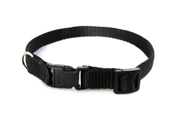 eRPaki BASIC Hundehalsband Klick 10mm