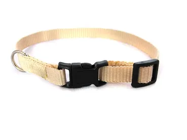 eRPaki BASIC Hundehalsband Klick 10mm