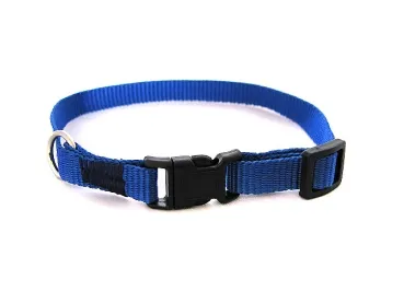 eRPaki BASIC Hundehalsband Klick 10mm