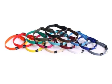 eRPaki BASIC Hundehalsband Klick 30mm