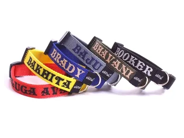 eRPaki BASIC Namenshalsband Klick 20mm