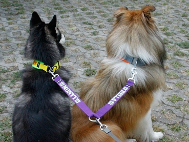 eRPaki Koppel für 2 Hunde 20mm (Ring) mit Namensbestickung