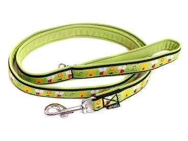 Hundeleine Cityleine Softshell Webband Borte