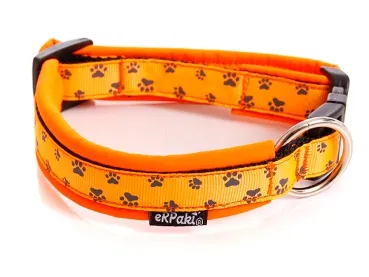 Hundehalsband mit Steckschnalle und Pflötchen Design orange