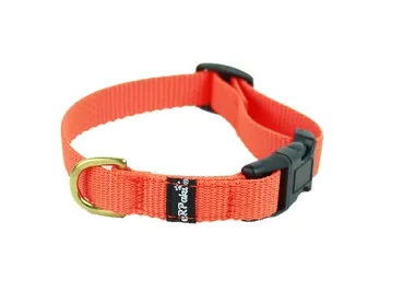 eRPaki BASIC Hundehalsband Klick 15mm