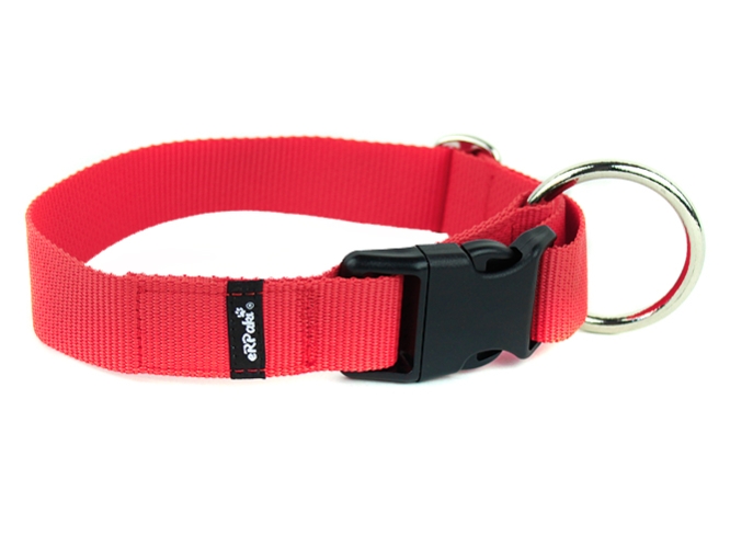 Preview: Hundehalsband mit extra großem Ring 3cm breit in Farbe rot