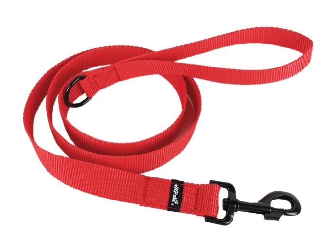 Preview: Rote Hundeleine 25mm breit mit schwarzem Karabinerhaken und Ring am Griff