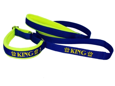 Preview: eRPaki Agility-Leine mit Bestickung 25mm MP