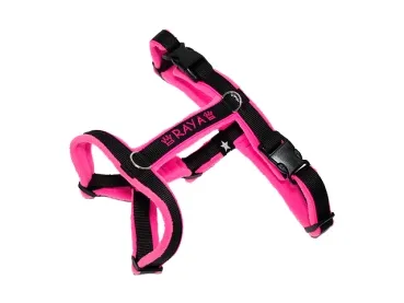 eRPaki Führgeschirr 20mm Double-Klick - bestickt