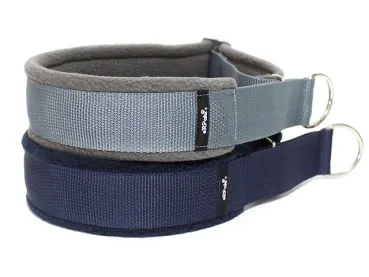 eRPaki Hundehalsband Zugstop 40mm MP