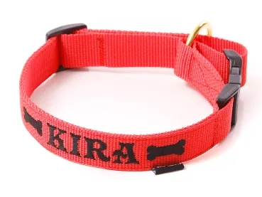 Namenshalsband Langhaar 25mm rot leuchtend