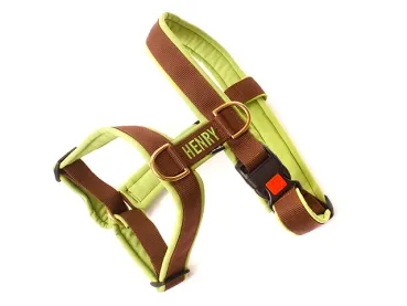 eRPaki PRO Führgeschirr 30mm - bestickt eRPaki PRO Führgeschirr 30mm - bestickt