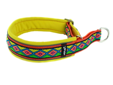 Preview: Hundehalsband mit Zugstopp orange gelb verziert mit Borte farbenfroh