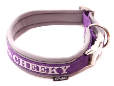 eRPaki PRO Namenshalsband Langhaar 20mm - Reflektor eRPaki PRO Namenshalsband Langhaar 20mm - Reflektor