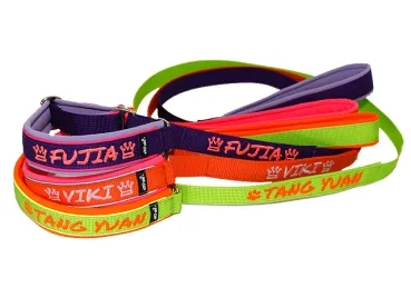 eRPaki PRO Agility-Leine mit Bestickung 25mm