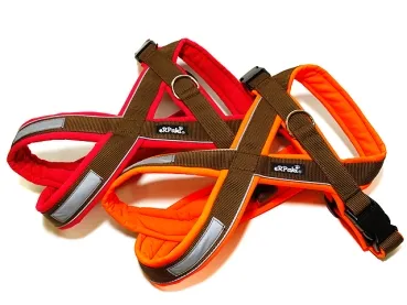 eRPaki PRO Flyball-Geschirr Double-Klick 25mm