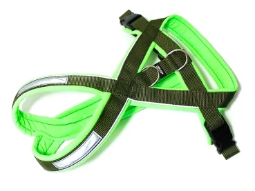 eRPaki PRO Flyball-Geschirr Double-Klick 25mm