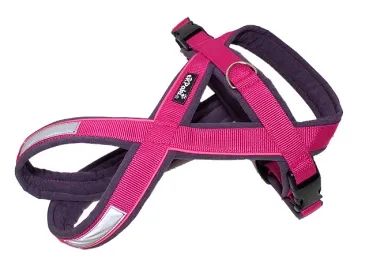 eRPaki PRO Flyball-Geschirr Double-Klick 30mm