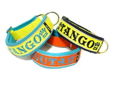 eRPaki PRO Namenshalsband geschlossen 30mm - Reflektor