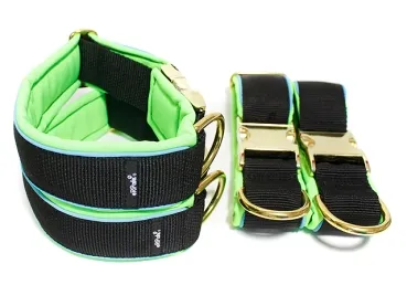eRPaki PRO Hundehalsband Klick 40mm - Reflektor