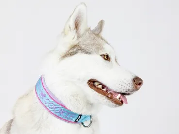 eRPaki PRO Namenshalsband geschlossen 25mm - Reflektor