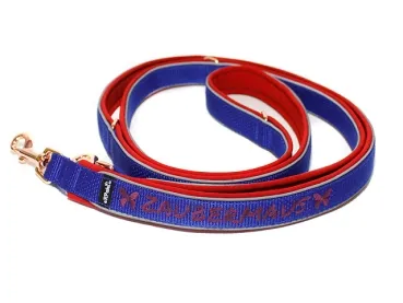 Hundeleine Softshell verstellbar personalisiert