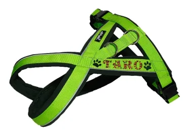 eRPaki PRO Tourengeschirr 30mm Double-Klick - Reflektor - bestickt