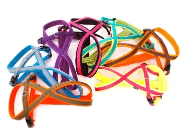 eRPaki PRO Flyball-Geschirr Double-Klick 15mm