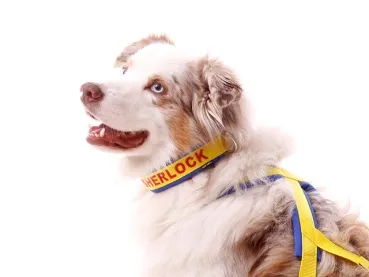 eRPaki PRO Namenshalsband geschlossen 25mm