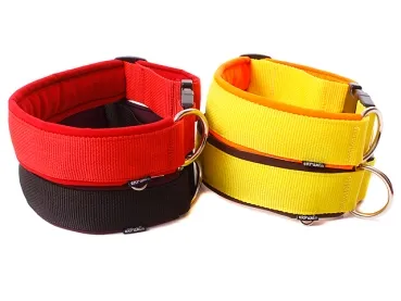 eRPaki PRO Hundehalsband Klick 40mm