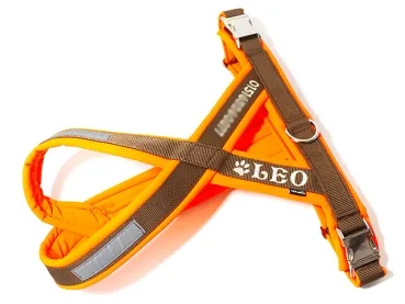 eRPaki PRO Tourengeschirr 30mm Double-Klick - bestickt