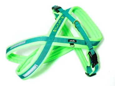 eRPaki PRO Flyballgeschirr 15mm Double-Klick - bestickt
