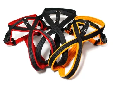 eRPaki PRO Flyball-Geschirr Double-Klick 20mm