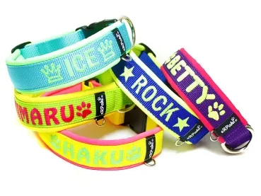 eRPaki PRO Namenshalsband Klick 30mm
