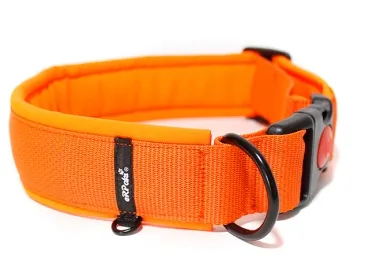 eRPaki PRO Hundehalsband Klick 40mm