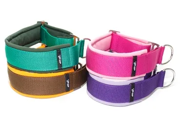 eRPaki PRO Hundehalsband Zugstop 40mm