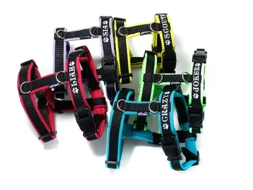 eRPaki PRO Führgeschirr 15mm Double-Klick - bestickt eRPaki PRO Führgeschirr 15mm Double-Klick - bestickt