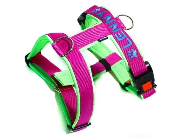 eRPaki PRO Führgeschirr 30mm Double-Klick - bestickt eRPaki PRO Führgeschirr 30mm Double-Klick - bestickt
