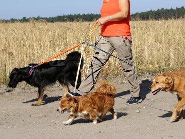 Preview: eRPaki PRO Multi-Leine 15mm