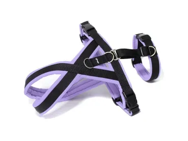 eRPaki PRO Tourengeschirr mit Sicherheitsgurt 15mm