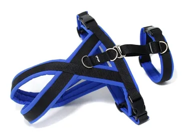 eRPaki PRO Tourengeschirr mit Sicherheitsgurt 25mm